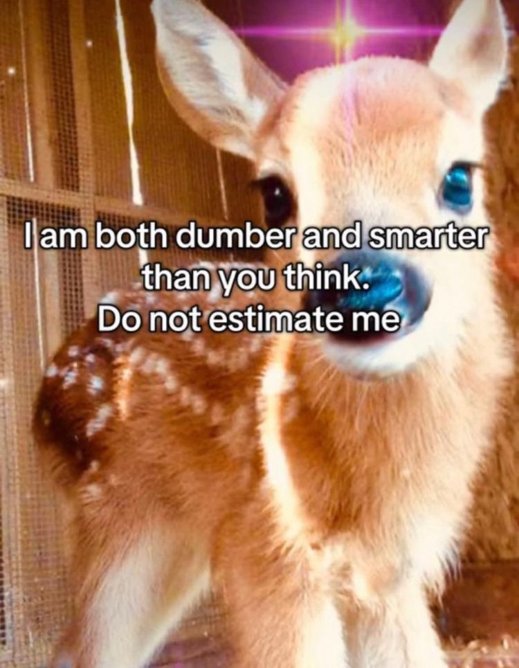 Picture of a baby deer. Text reads: I am both dumber and smarter than you think. Do not estimate me