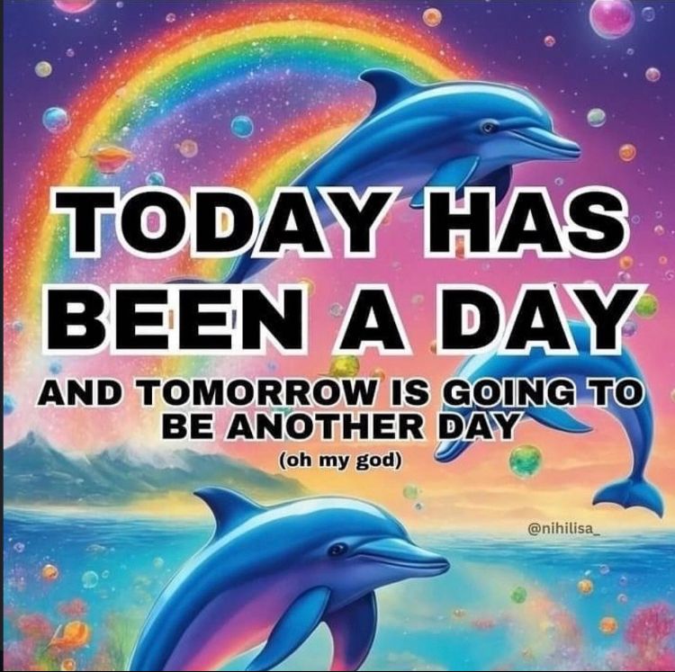 Lisa frank style image of dolphins and rainbows. Text reads: TODAY HAS BEEN A DAY, AND TOMORROW IS GOING TO BE ANOTHER DAY (oh my god)