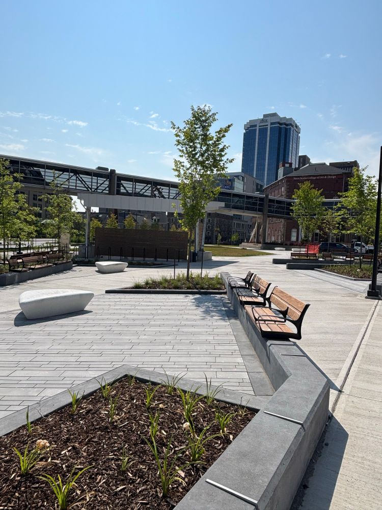 A public space with benches of various forms, young trees, and a pedestrian bridge in the background. 