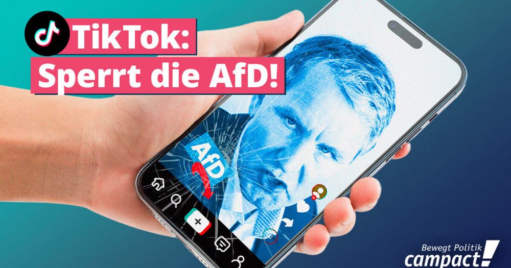 AfD auf TikTok abschalten!