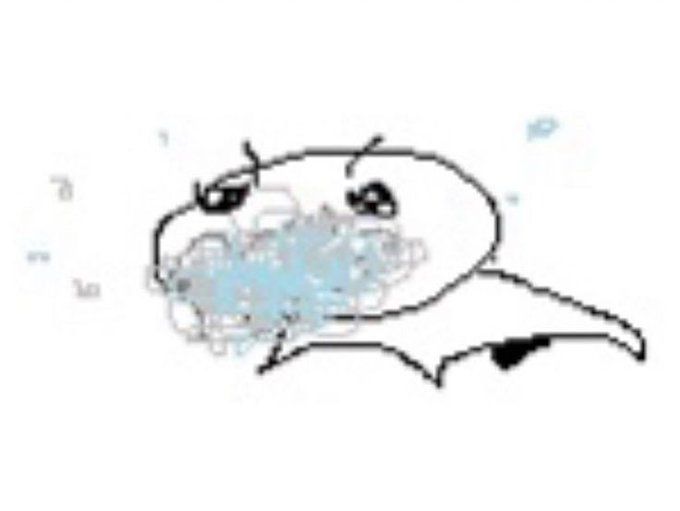 Comment image