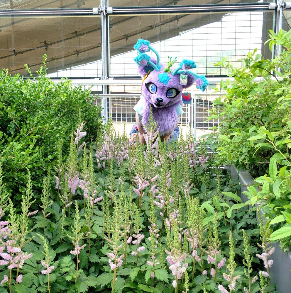 Purple alien cat fursuiter (Nova) is crouching in a flower bed