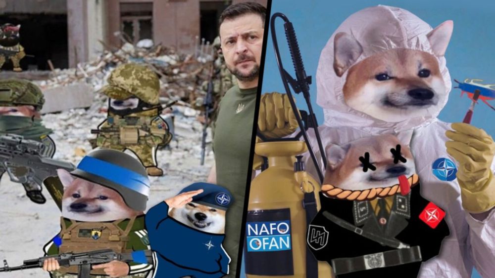 NAFO troll operation founded by Nazi: Researcher exposes far-right Ukrainian networks