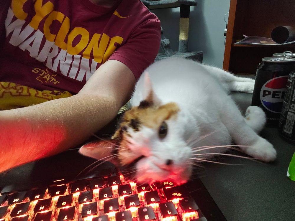 Samus, a white calico cat resting head on keyboard.