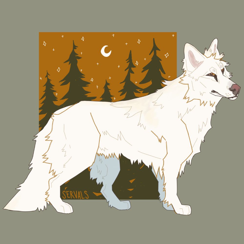 an illustration of a white shepherd dog with tree silhouettes and the night sky drawn in the background.