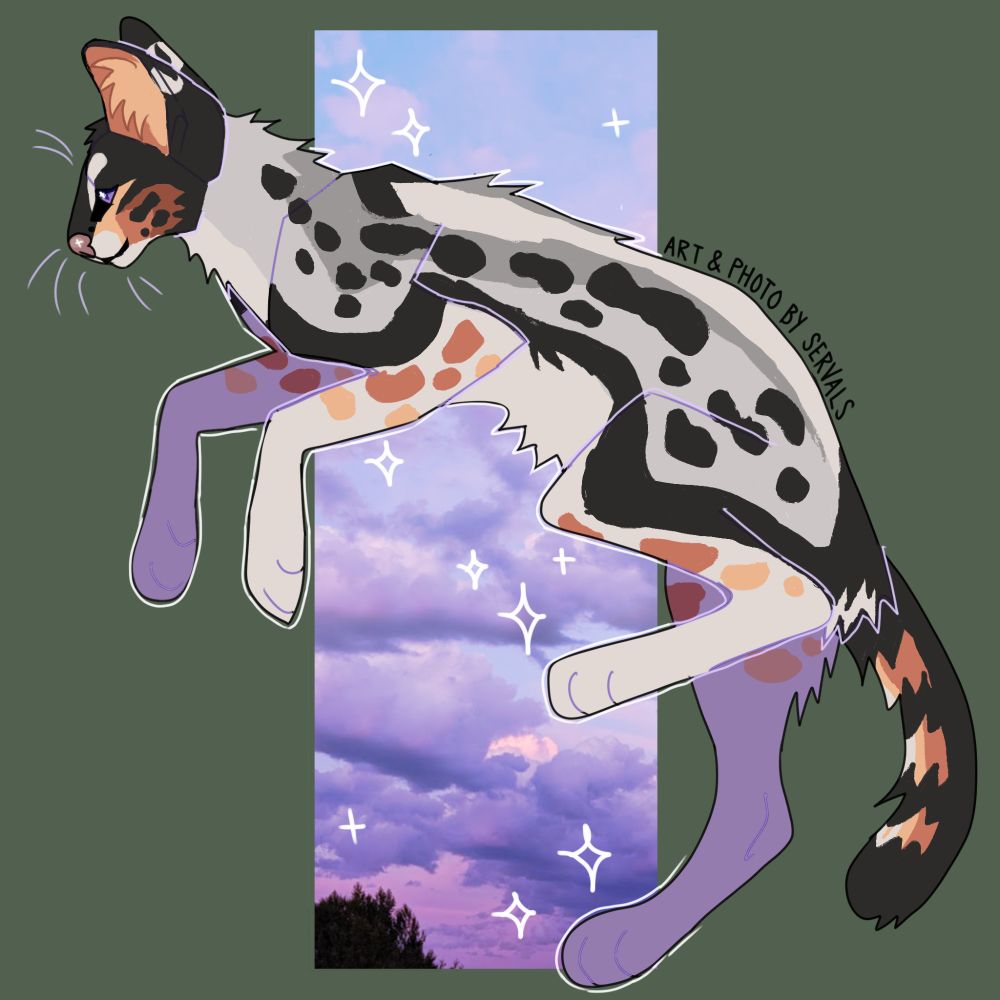 an illustration of a serval character with a photo of purple clouds in the background.