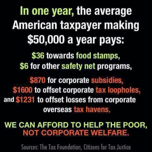 In one year, the average American taxpayer making $50,000 a year pays: $36 towards food stamps, $6 for other safety net programs, $870 for corporate subsidies, $1,600 for tax loopholes, and $1,231 to offset losses from corporate overseas tax havens. We can afford to help the poor, not corporate welfare.