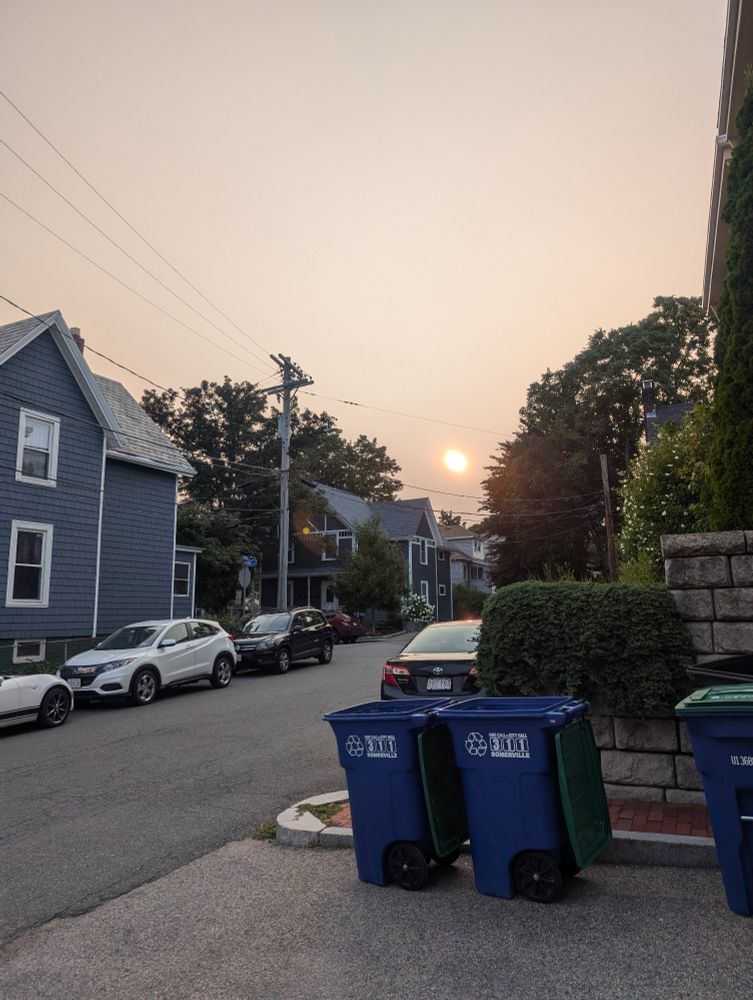 hazy view of sky and sun and street from ground level