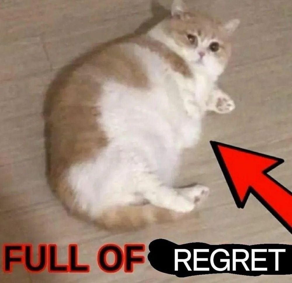 A picture of a fat cat lying on the ground. A red arrow points to it. The caption reads, “full of regret”.