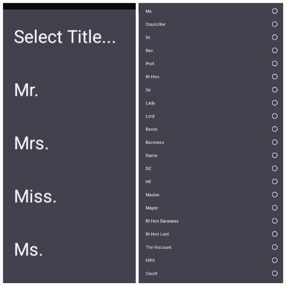 the 25 available titles when registering for the labour party conference. from the usuals of mr, mrs, miss, ms, mx, down to viscount, lord, baroness...