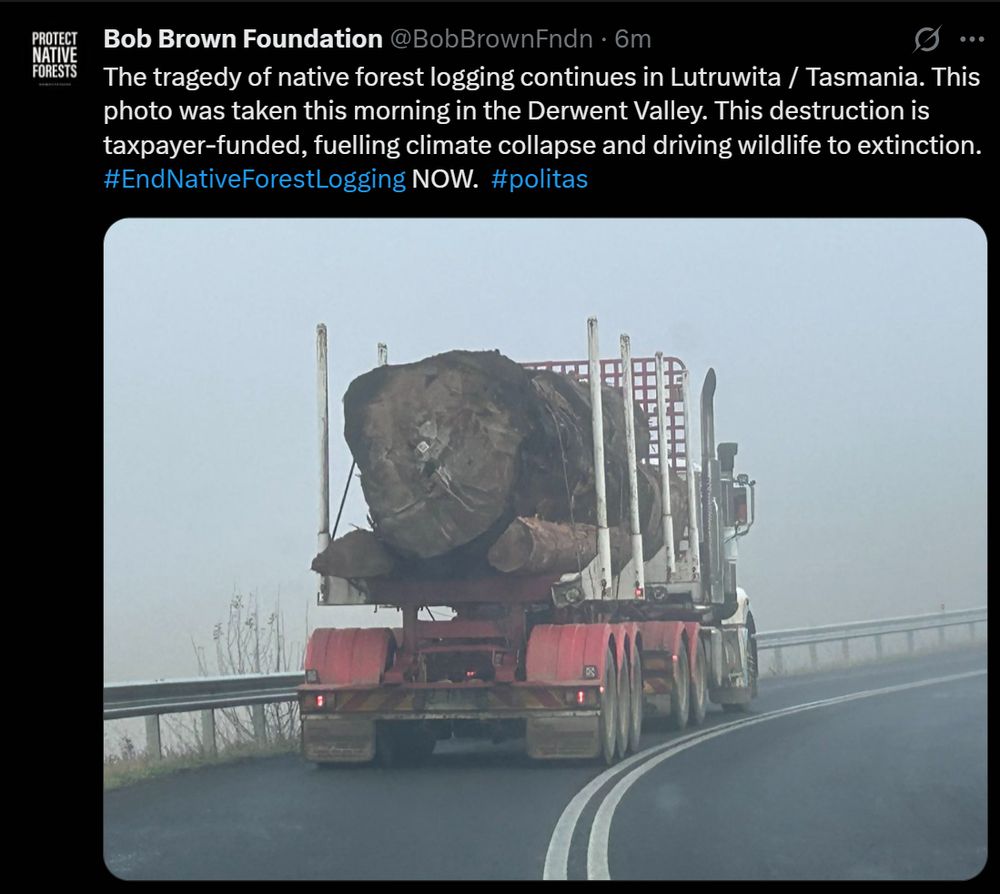 Tweet from Bob Brown Foundation showing a massive log on a truck. Text says "The tragedy of native forest logging continues in Lutruwita / Tasmania. This photo was taken this morning in the Derwent Valley. This destruction is taxpayer-funded, fuelling climate collapse and driving wildlife to extinction.  #EndNativeForestLogging NOW.  #politas"