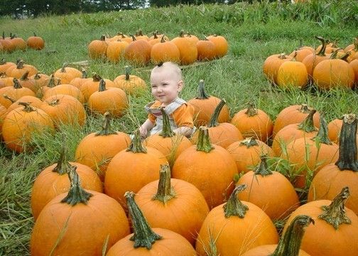 Baby hiding in a pumpkin patch