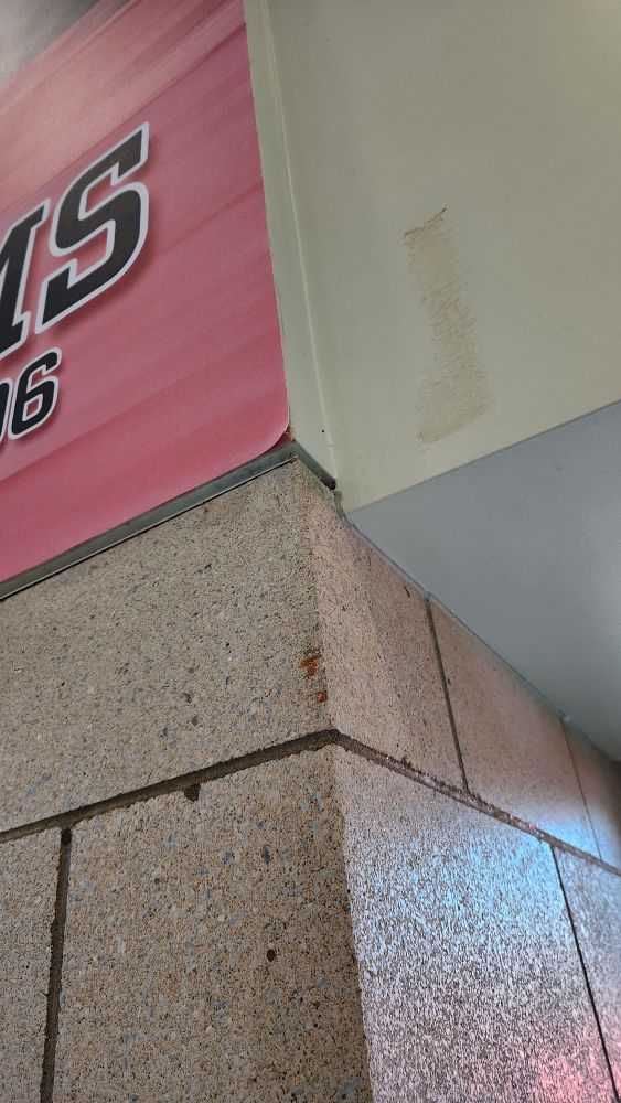 Wall art starting to peel away from the wall.