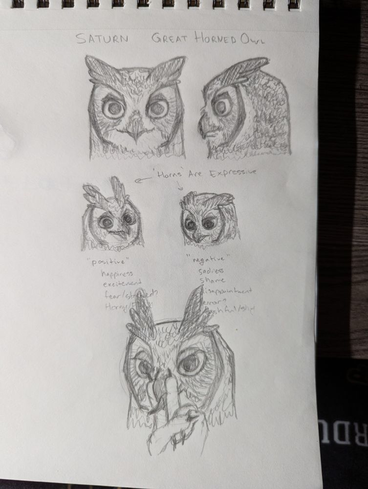 Some concept sketches of my great horned owl fursona, attempting to practice showing expressions with the feather tuft "horns" through a handful of examples (positive with horns erected, negative with horns laid flat). Final drawing is a little flirty indulgent sketch.