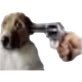 Highly pixelated low res image of a gun being held to a dog's head 