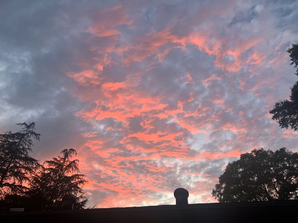 A sunset shot over the rooftop. A sky full of clouds as twilight sets in. The clouds appear to be on fire as they reflect the setting sun. The clouds are framed by the branches of evergreen trees in silhouette. 