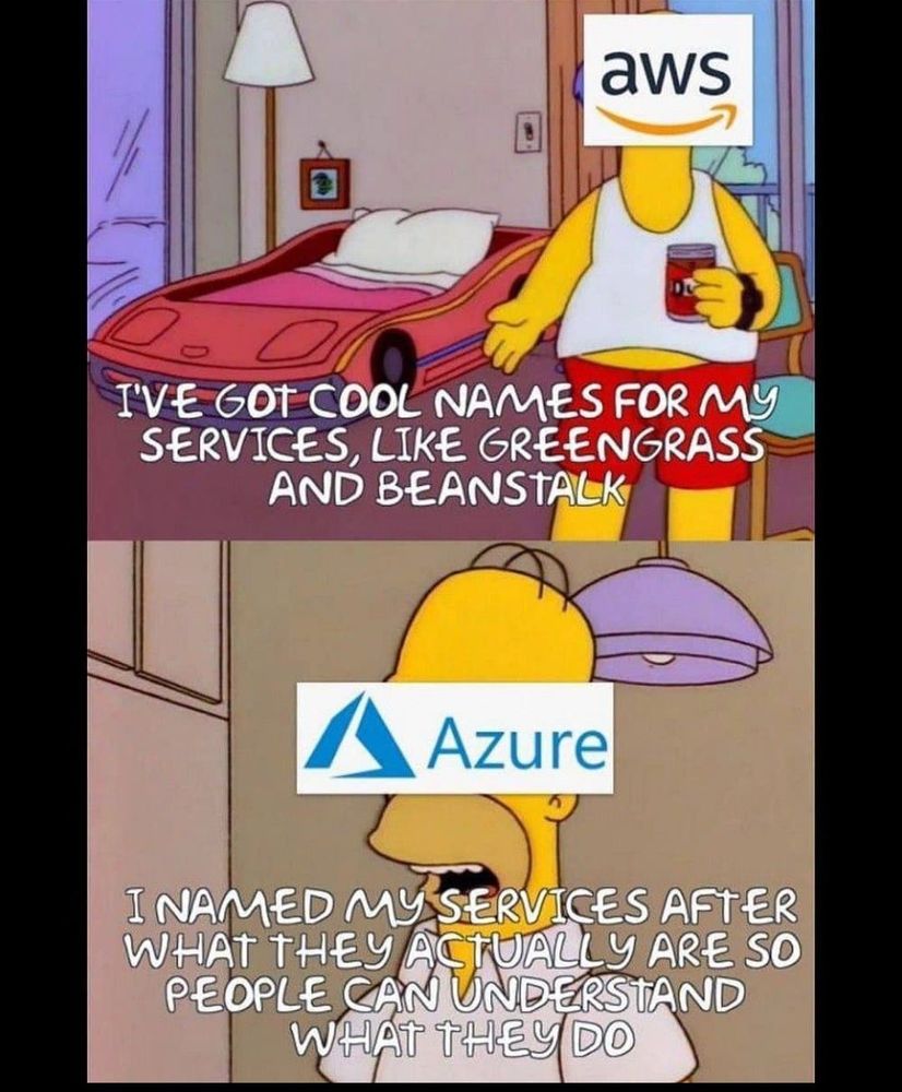 Homer Simpson as AWS: I’ve got cool names for my services like green grass and beanstalk. 
Homer Simpson as Azure: I named my services after what they actually are so people can understand what they do. 