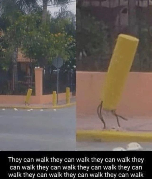 A Bollard on the side of a road, clearly damaged, rebar is sticking out of the base making the appearance of legs, text at the bottom of the image states "they can walk" over and over