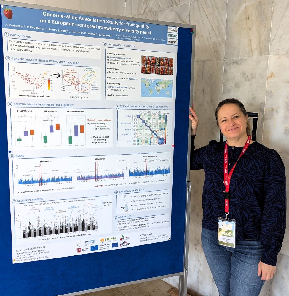 Our colleague Aurelie Petit is standing (and smiling) next to her poster on "Genome-Wide Association Study for fruit quality on a European-centered strawberry diversity panel" at the 12th Rosaceae Genomics Conference