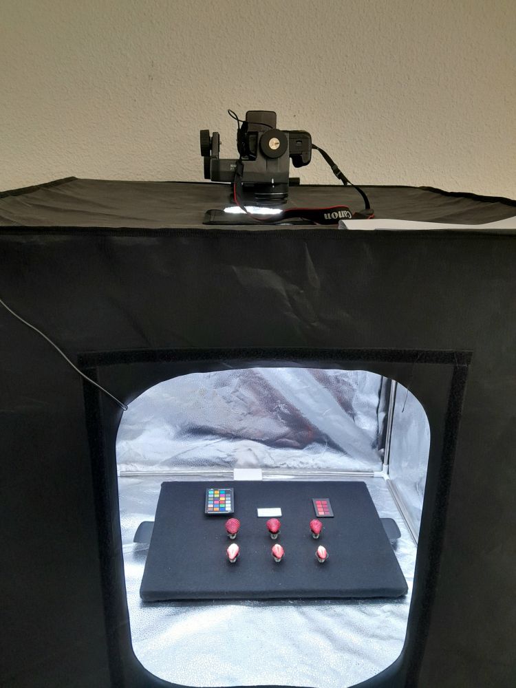 A black box with a camera on top  is shown. The front panel is open and inside the box strawberries of different colors are arranged on a black board, along with a color scale to normalize the pictures.