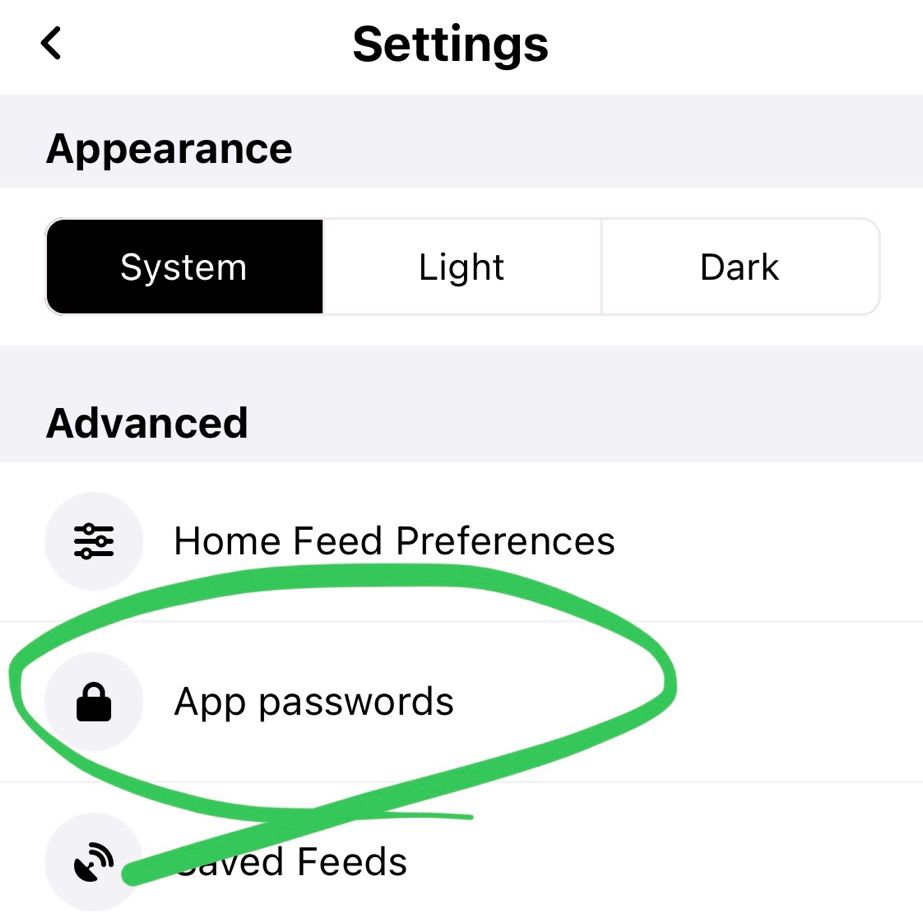 If you want to use Bluesky with third-party clients or services, you should generate an app password and use it.