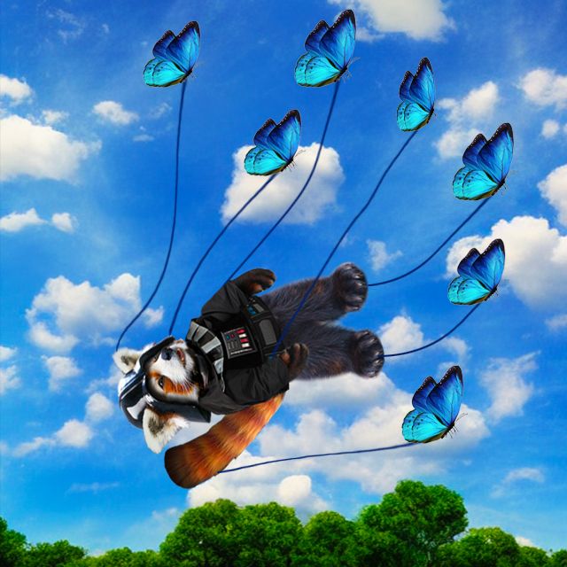 the blue sky fail whale except instead of a whale being carried by twitter birds it is your friend darth the red panda being carried by blue sky blue butterflies across a brilliant blue sky with white clouds and verdant green trees below 

apologies to Yiying Lu the original twitter fail whale artist
