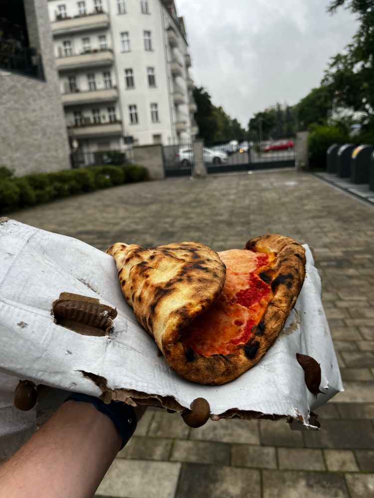 Discarded pizza in a wet box filled with slugs
