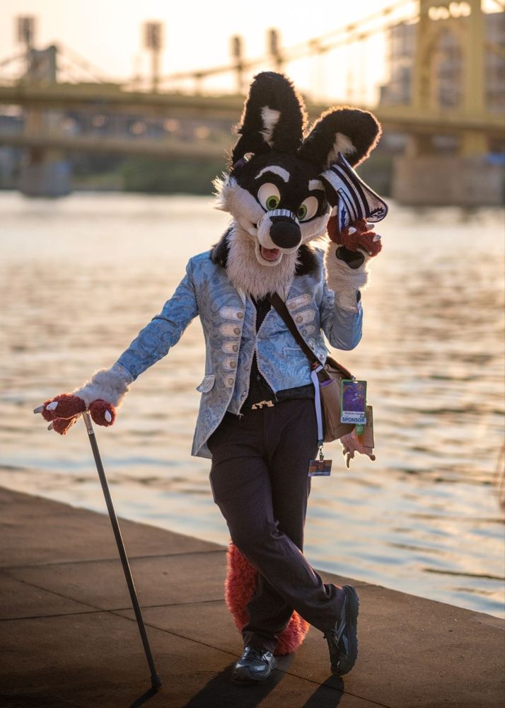 A dapper fox in the sunset by the river
