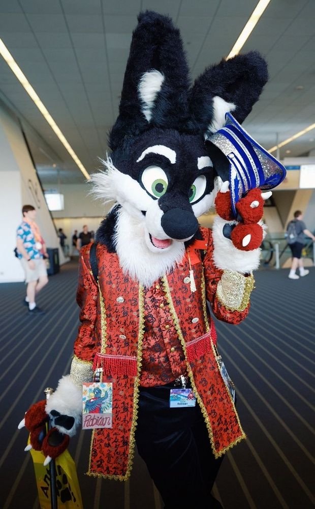 A dapper fox being a good boy 🦊🐾 
