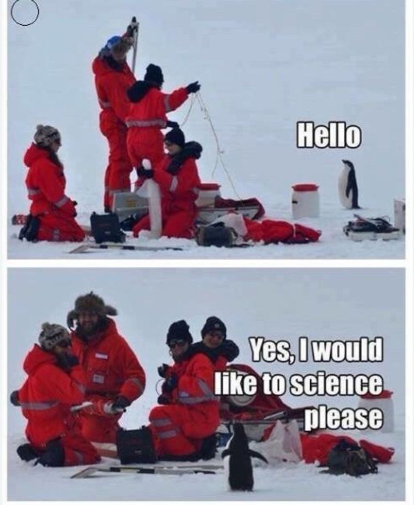 Two images, both in the Antarctic. One shows a penguin observing some scientists wearing red parkas. The caption says, “Hello.”In the second, the same scientists are staring at the penguin in adoration and the caption reads, “Yes, I would like to science, please.”