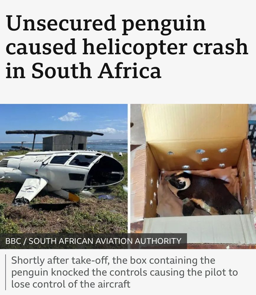 News article with the headline “Unsecured penguins caused helicopter crash in South Africa.” Photos of a helicopter and a penguin in an open box.