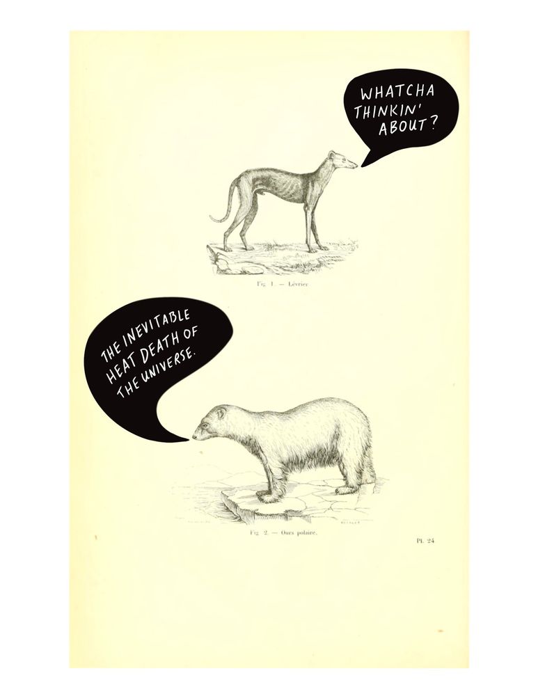 A 19th century illustration of what appears to be a greyhound and a polar bear. The greyhound asks “whatcha thinkin’ about?” The polar bear responds “the inevitable heat death of the universe.”
