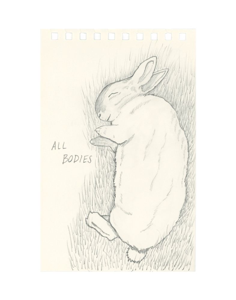 Pencil drawing of a rabbit sleeping on their side, with the words “all bodies”
