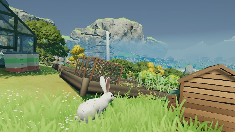 Luna the rabbit in her home garden