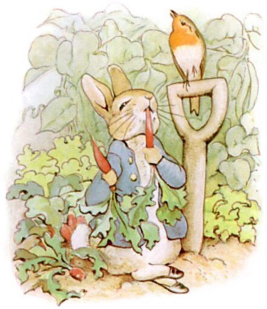 Beatrix Potter illustration of Peter Rabbit in blue jacket chowing down on stolen carrots while a bird perched on a shovel looks on judgmentally 