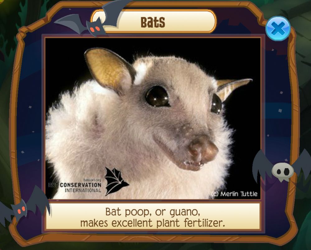 Animal Jam screenshot stating a bat fact: "Bat poop, or guano, makes excellent plant fertilizer."
