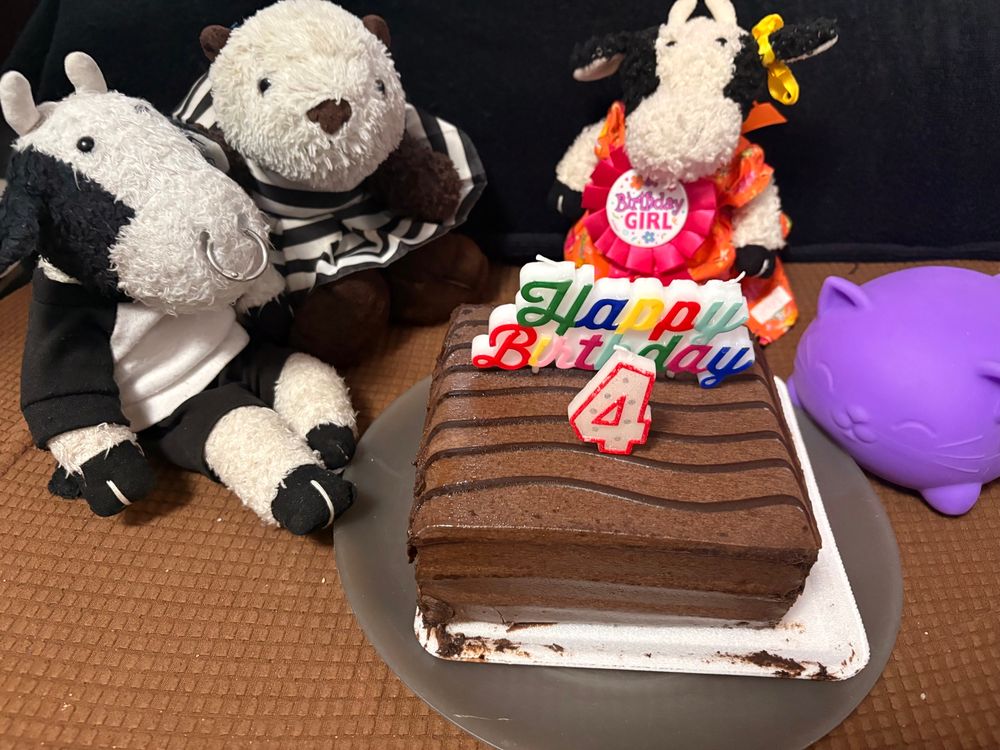 Bully, Shelly, and Marshall and a birthday cake. 