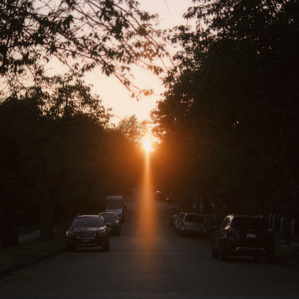 Sunset down a tree lined residential street 