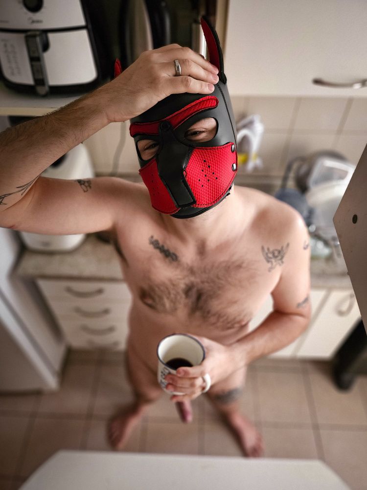 Puppyplay, focinho vermelho, pelado, ângulo de cima, desfocado, segurando uma caneca com meio dedo de café .