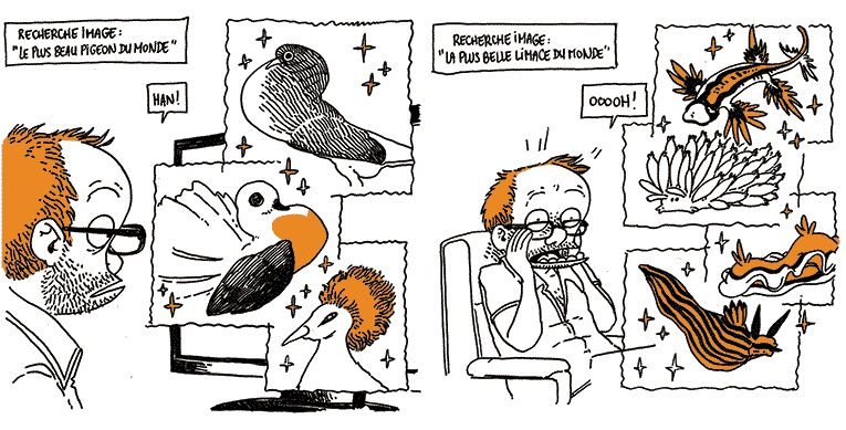 Il continue avec "Le plus beau pigeon du monde", "La plus belle limace du monde", en s'extasiant de plus en plus devant les images.