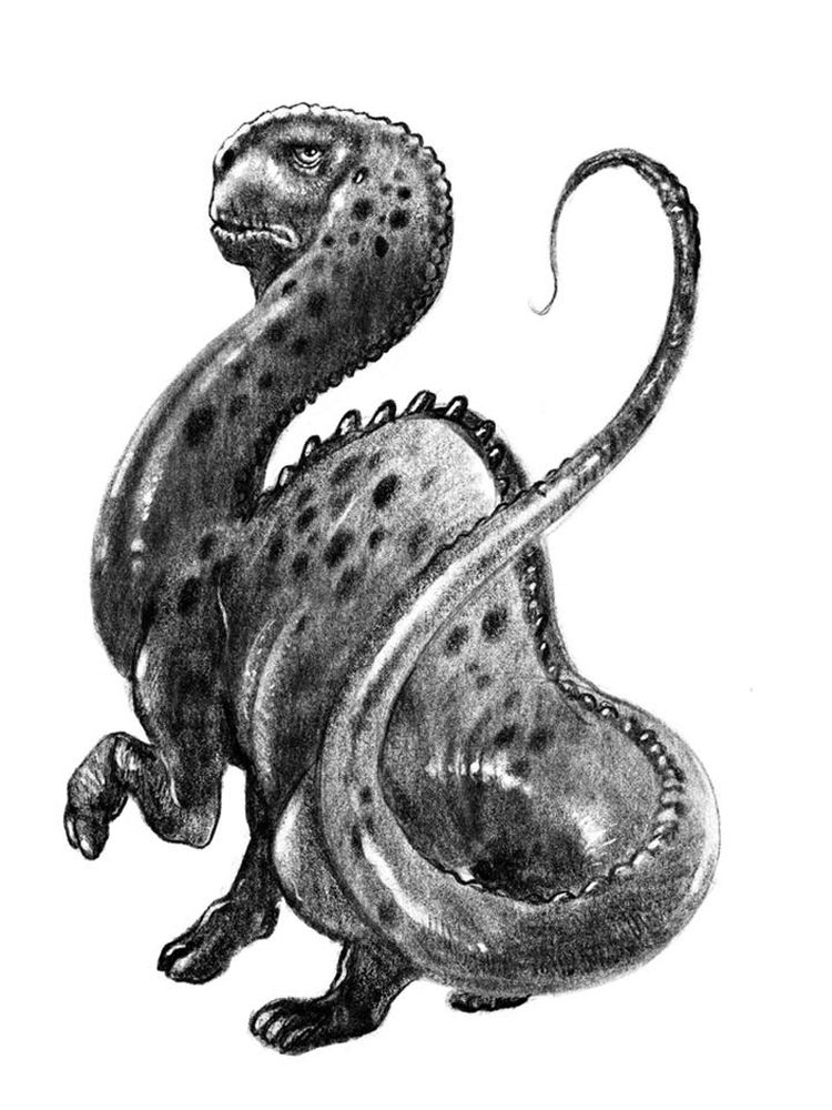 Le mokele mbembe est une sorte de diplodocus-nain, représenté ici en noir et blanc.