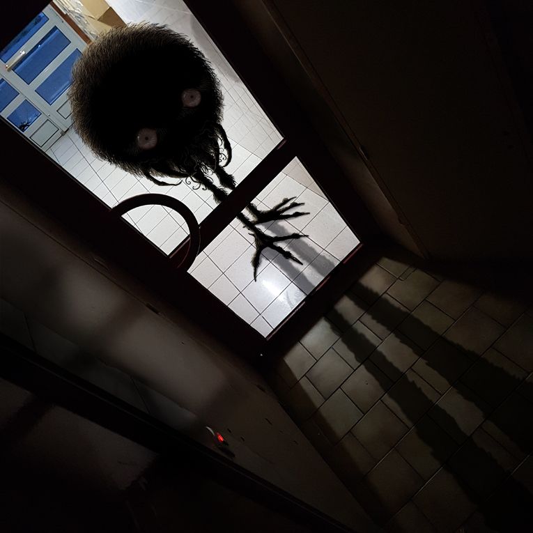 Une sorte de boule de poils à pattes d'oiseaux guette derrière la porte fermée d'un hall d'immeuble.