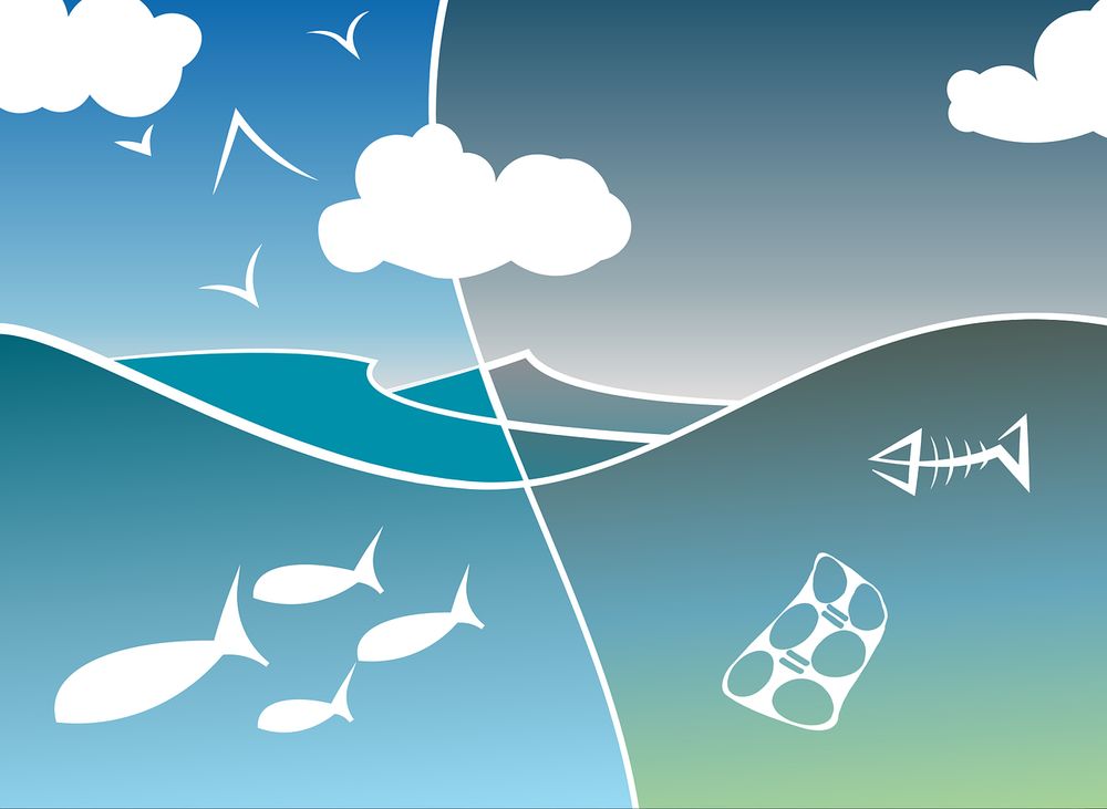 SEEKING: Canada Excellence Research Chair in Ocean Ecological Modelling. Joint position at @UBCoceans and @UBCeoas. Associate Professor/Professor (Tenure) position. 

DEADLINE: SEPT 11, 2025!
https://ubc.wd10.myworkdayjobs.com/en-US/ubcfacultyjobs/details/Canada-Excellence-Research-Chair-in-Ocean-Ecological-Modelling_JR21451
