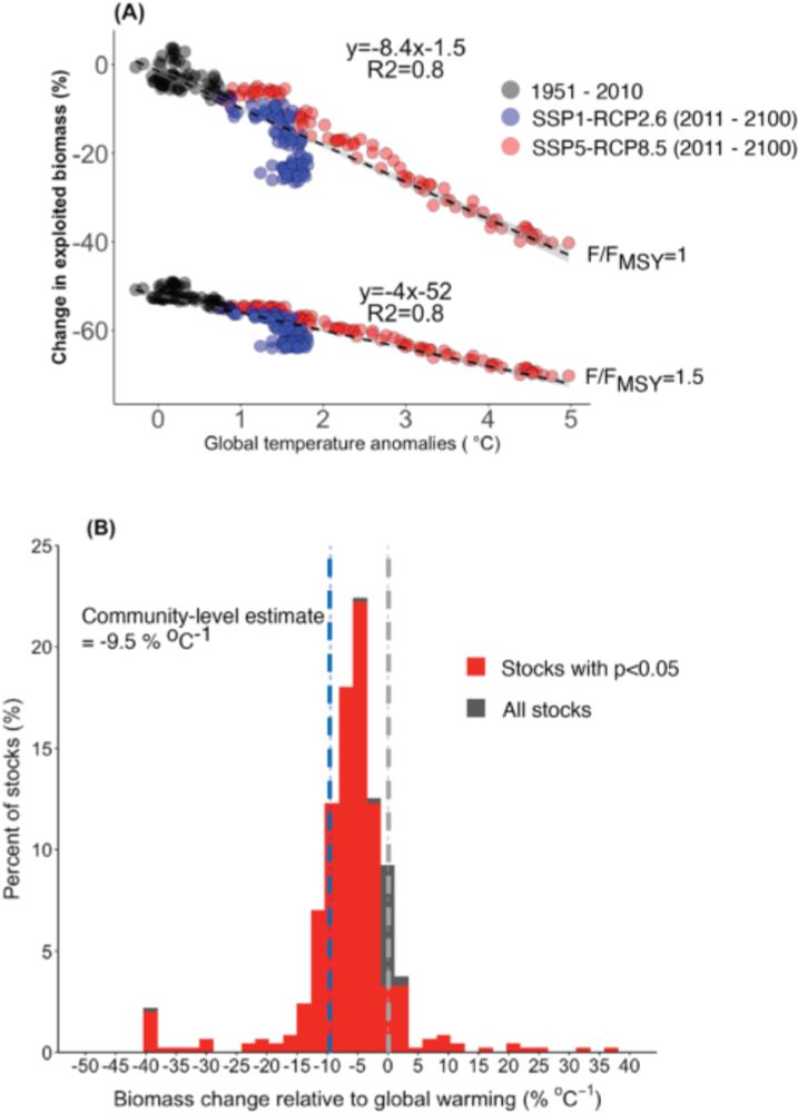 Projecting contributions of marine protected areas to rebuild fish stocks under climate change - npj Ocean Sustainability