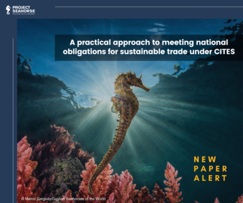 How a 5-Question Approach Can Ensure Sustainable Trade in Threatened Wildlife - Project Seahorse