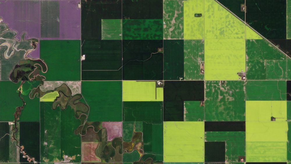 Agricultural field patterns near Regina, Saskatchewan, Canada, July 18 2024