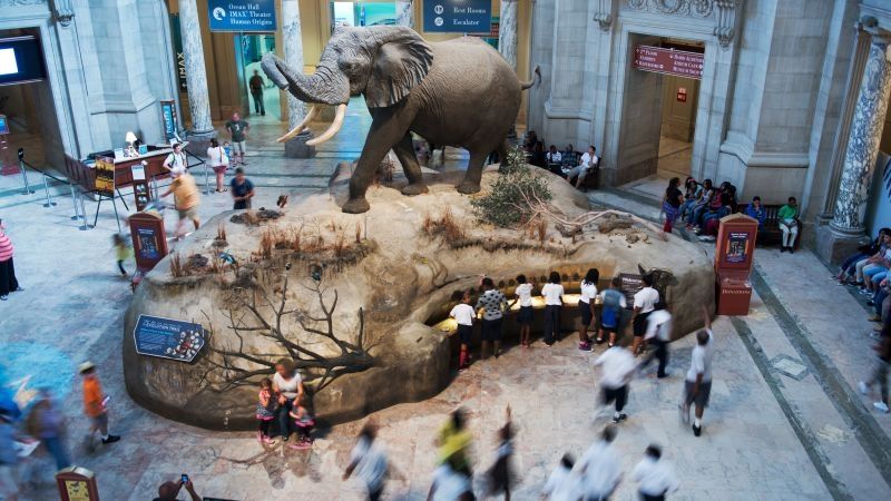 The White House is conducting a comprehensive internal review of exhibits and materials at the Smithsonian Institution in an effort to comply with President Donald Trump’s directive about what should ...