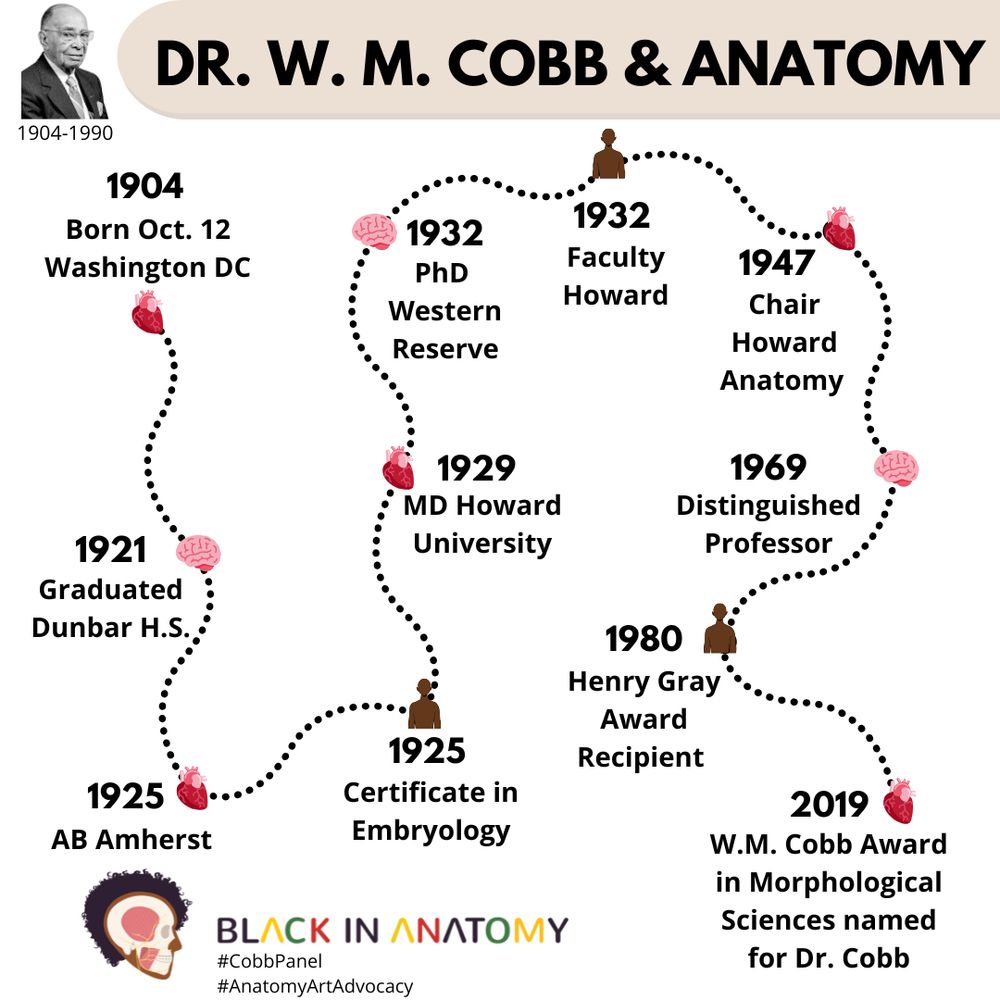 Black in Anatomy Dr W.M. Cobb and Anatomy with image of Dr. Cobb and a path of his time in anatomy. 1904: born in Oct 12 Washington, DC; 1921: Graduated Dunbar HS; 1924 AB from Amherst; 1925 Certificate in Embryology; 1929 MD from Howard University; 1932 PhD from Western Reserve (first Black Biological Anthropologist to earn PhD); 1932 start faculty position at Howard University; 1947: appointed Chair of Howard Department of Anatomy; 1969: named a Distinguished Professor; 1980 awarded American Association for Anatomy Henry Gray Award; 2019 W.M. Cobb Award in Morphological Sciences named for Dr. Cobb; #CobbPanel #AnatomyArtAdvocacy