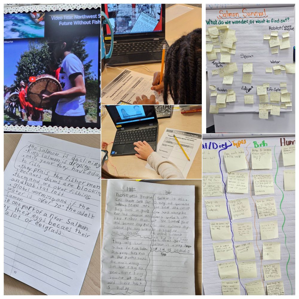 Collage of images showing students notes and writing in their science notebooks, showing still frames from salmon people video and from a fish wars video, plus images showing clusters of sticky notes on a chart to show student questions grouped by theme