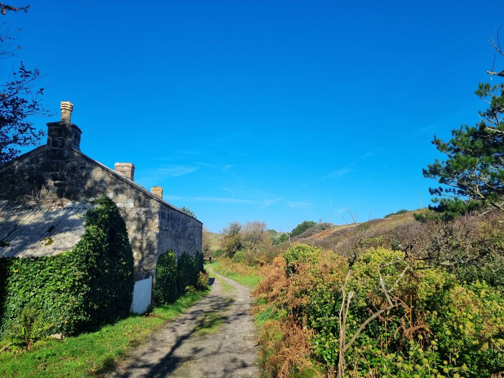 Nanquidno Valley - with a blue sky, ivy-clad walls and a pine tree or two